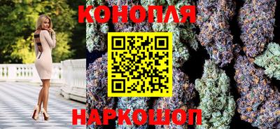сатива Бузулук