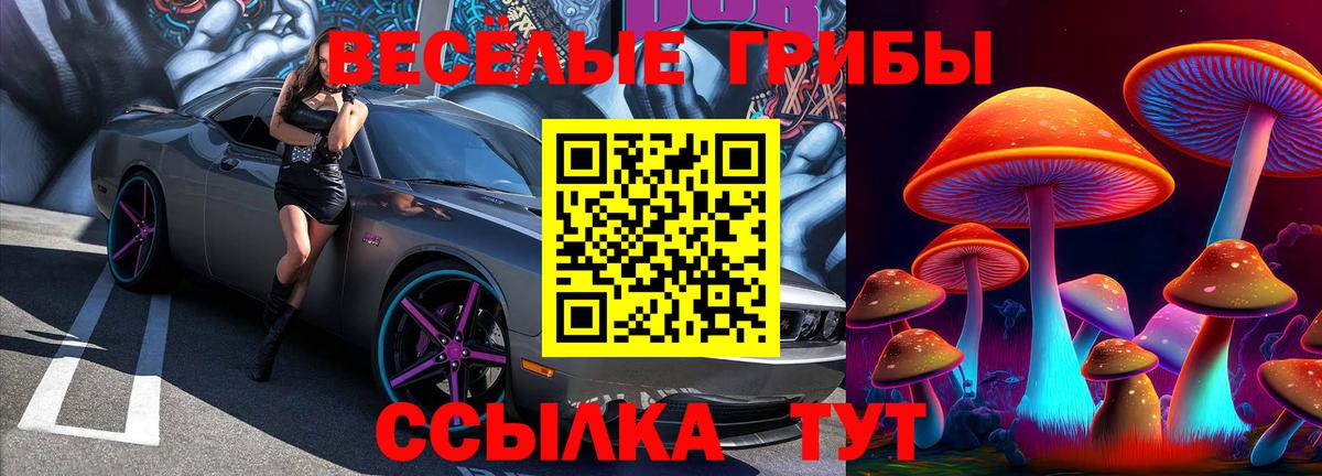 Галлюциногенные грибы мухоморы  Вход с VPN  Гусев 